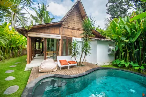 2 bedrooms Villa in Ubud, Gianyar, Indonesia No. 13510