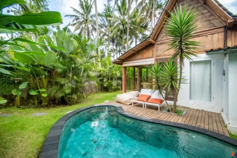 2 bedrooms Villa in Ubud, Gianyar, Indonesia No. 13510 2