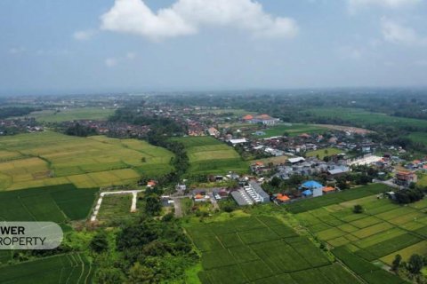 1285m2 Land in Tabanan, Indonesia No. 8710 7