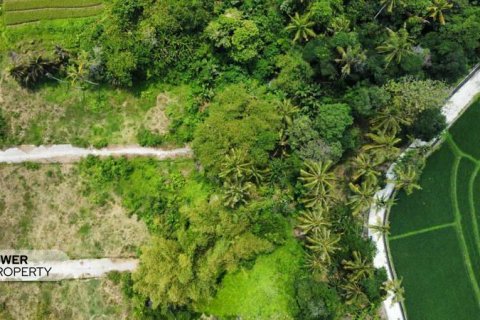 1285m2 Land in Tabanan, Indonesia No. 8710 14