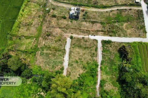 1285m2 Land in Tabanan, Indonesia No. 8710 11