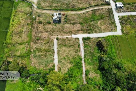 1285m2 Land in Tabanan, Indonesia No. 8710 2
