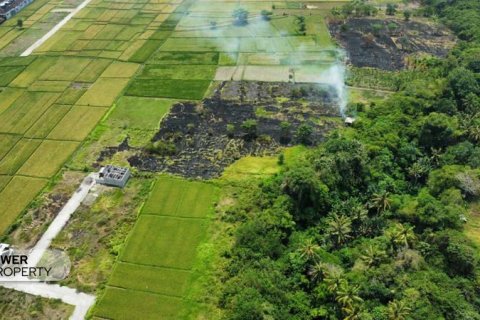 1285m2 Land in Tabanan, Indonesia No. 8710 4