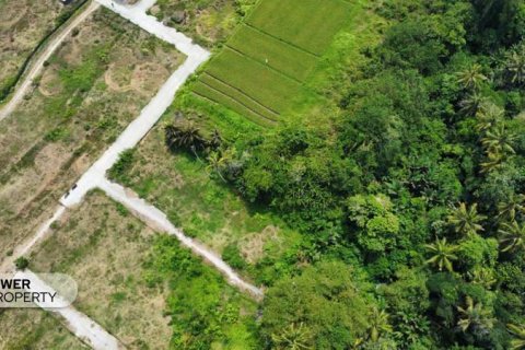 1285m2 Land in Tabanan, Indonesia No. 8710 13