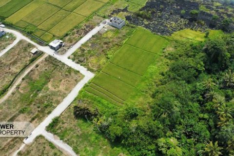 1285m2 Land in Tabanan, Indonesia No. 8710 12