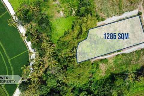1285m2 Land in Tabanan, Indonesia No. 8710 15