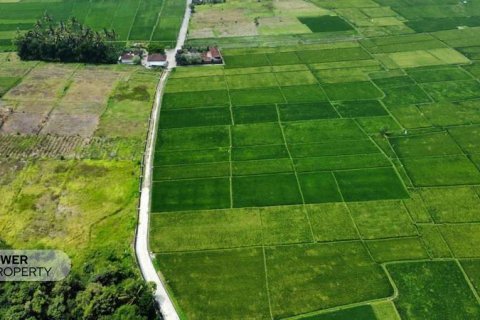1285m2 Land in Tabanan, Indonesia No. 8710 3