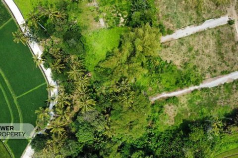 1285m2 Land in Tabanan, Indonesia No. 8710 9