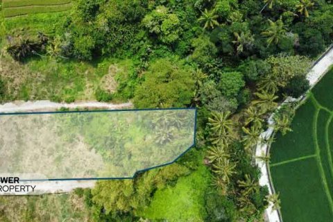 1285m2 Land in Tabanan, Indonesia No. 8710