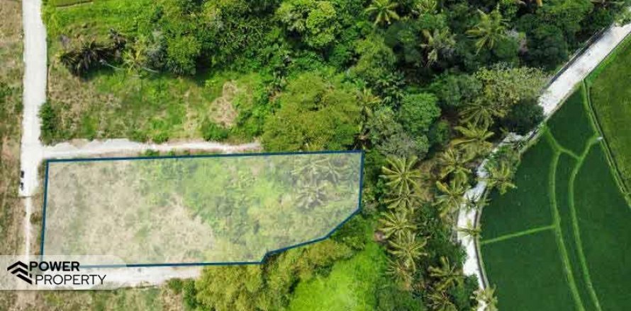 1285m2 Land in Tabanan, Indonesia No. 8710