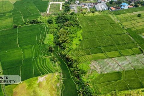 1285m2 Land in Tabanan, Indonesia No. 8710 6