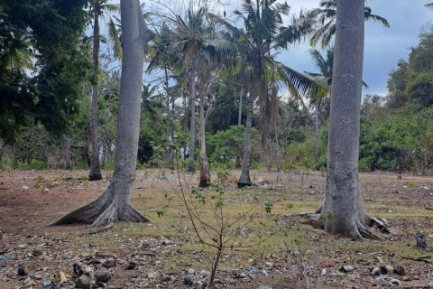 27200m2 Land in Indonesia No. 8713 28