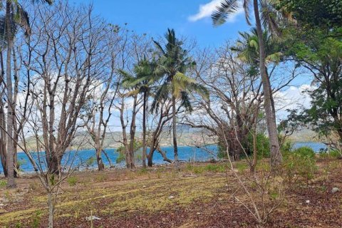 27200m2 Land in Indonesia No. 8713 12