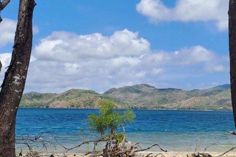 27200m2 Land in Indonesia No. 8713 22