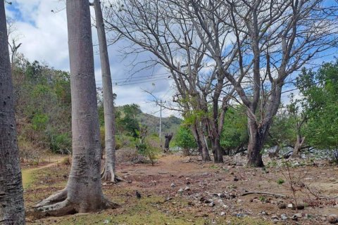 27200m2 Land in Indonesia No. 8713 30
