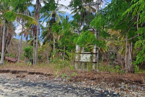 27200m2 Land in Indonesia No. 8713 6