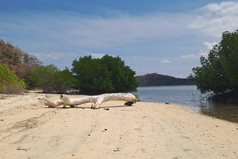 27200m2 Land in Indonesia No. 8713 7