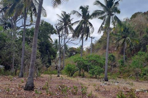 27200m2 Land in Indonesia No. 8713 25