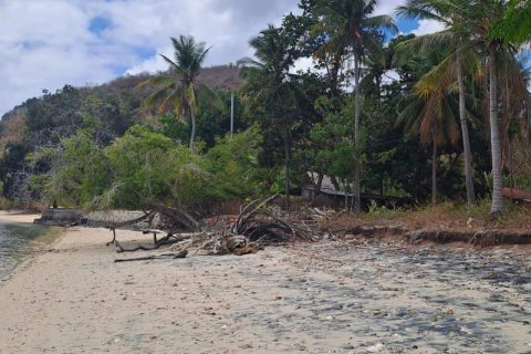 27200m2 Land in Indonesia No. 8713 5