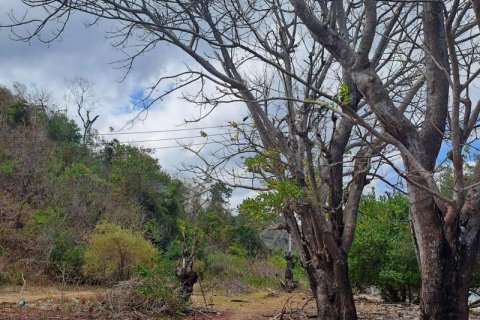 27200m2 Land in Indonesia No. 8713 26