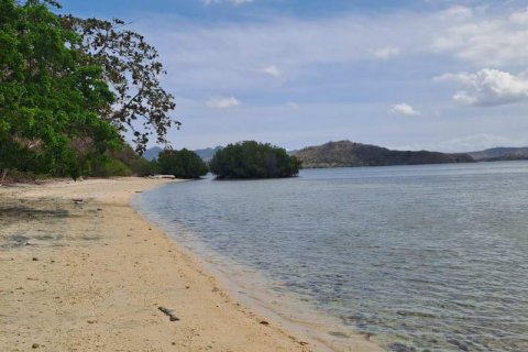27200m2 Land in Indonesia No. 8713 4