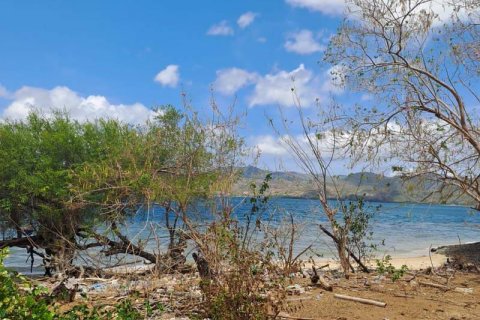 27200m2 Land in Indonesia No. 8713 18