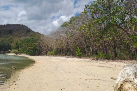 27200m2 Land in Indonesia No. 8713 9