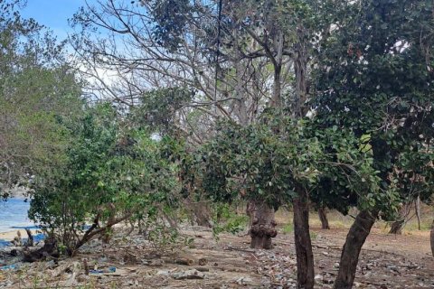 27200m2 Land in Indonesia No. 8713 29