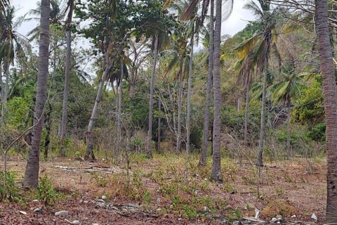 27200m2 Land in Indonesia No. 8713 21