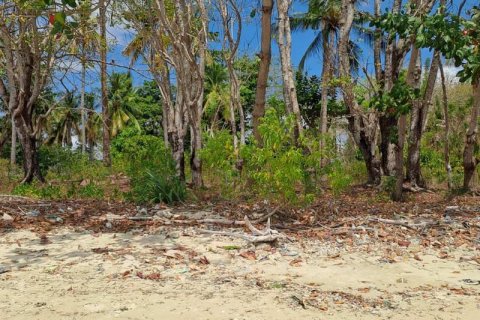 27200m2 Land in Indonesia No. 8713 10