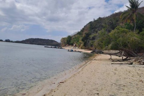 27200m2 Land in Indonesia No. 8713