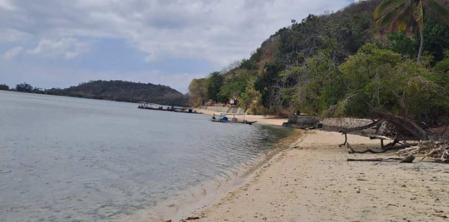 27200m2 Land in Indonesia No. 8713