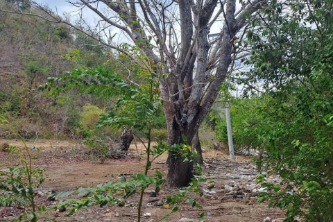 27200m2 Land in Indonesia No. 8713 24
