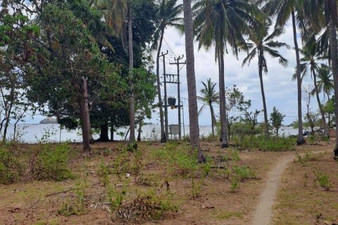 27200m2 Land in Indonesia No. 8713 2