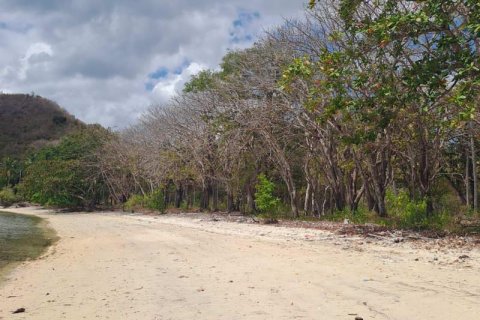 27200m2 Land in Indonesia No. 8713 11