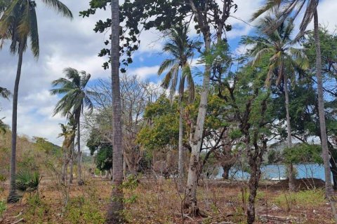 27200m2 Land in Indonesia No. 8713 19