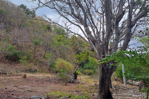 27200m2 Land in Indonesia No. 8713 27