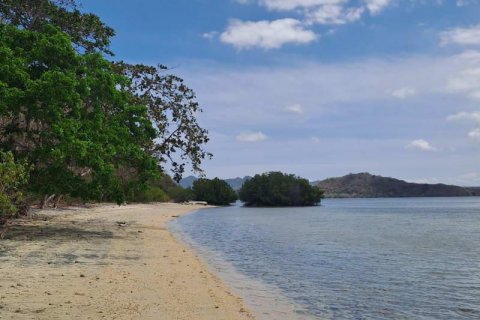 27200m2 Land in Indonesia No. 8713 8