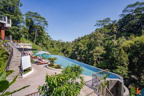 1 bedroom Villa in Ubud, Gianyar, Indonesia No. 11076 9