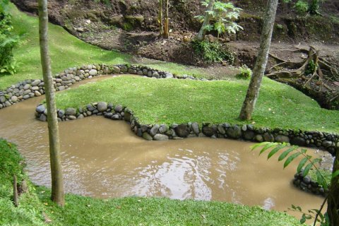 Land in Tabanan, Indonesia No. 11661 6