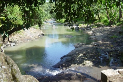 Land in Tabanan, Indonesia No. 11661 8