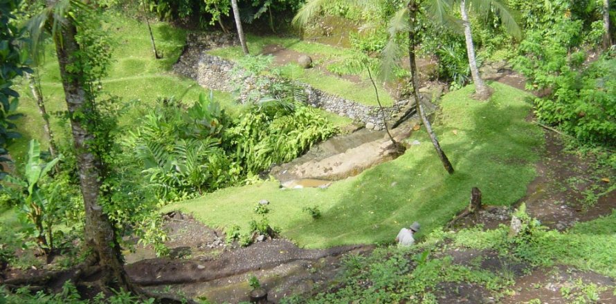 Land in Tabanan, Indonesia No. 11661