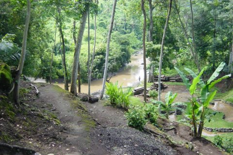 Land in Tabanan, Indonesia No. 11661 3