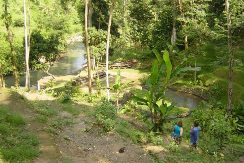 Land in Tabanan, Indonesia No. 11661 11