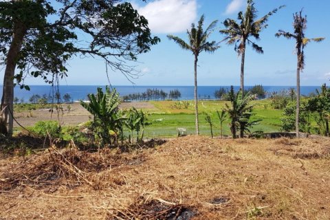 Land in South Denpasar, Denpasar, Indonesia No. 11663 4
