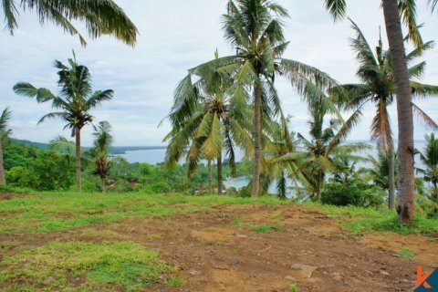 Land in Central Lombok, Indonesia No. 11666