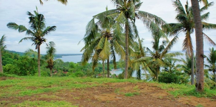 Land in Central Lombok, Indonesia No. 11666