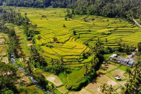 Land in Karangasem, Karang Asem, Indonesia No. 10809