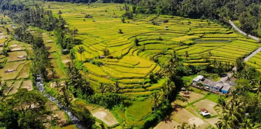 Land in Karangasem, Karang Asem, Indonesia No. 10809