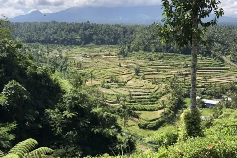 Land in Karangasem, Karang Asem, Indonesia No. 10809 3